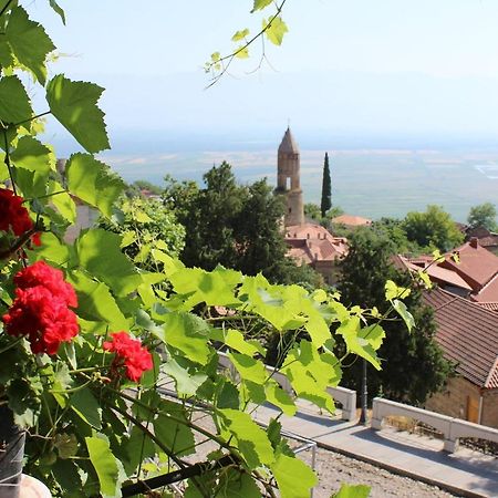 Tsitso & Soso Guesthouse Tsnoristskali Zewnętrze zdjęcie