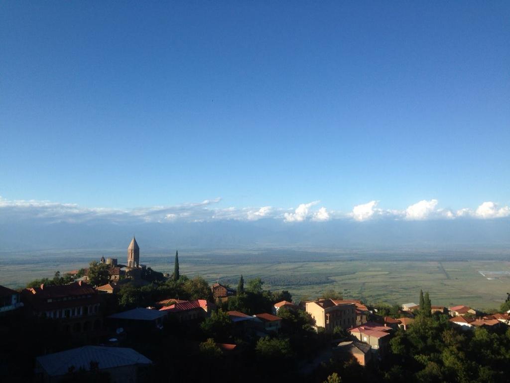 Tsitso & Soso Guesthouse Tsnoristskali Zewnętrze zdjęcie