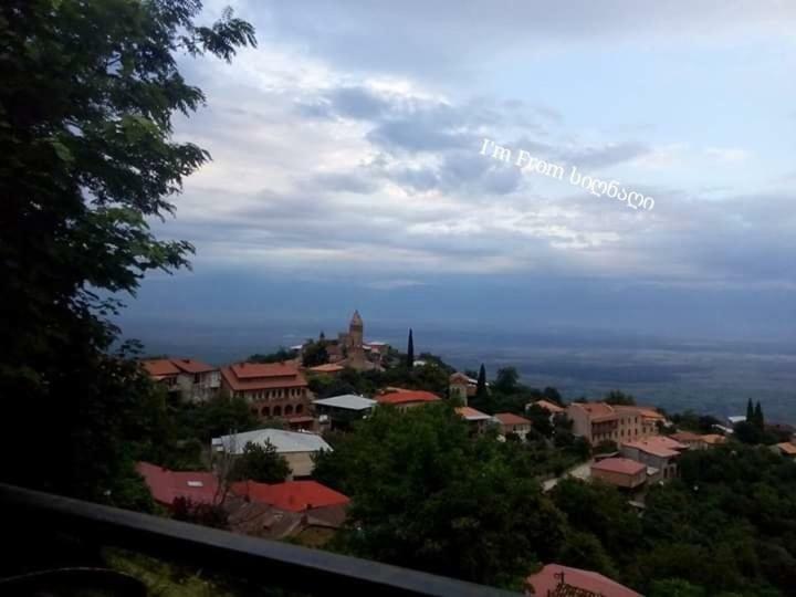 Tsitso & Soso Guesthouse Tsnoristskali Zewnętrze zdjęcie