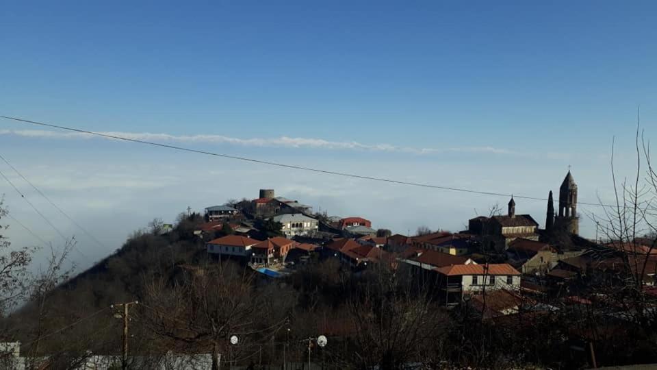 Tsitso & Soso Guesthouse Tsnoristskali Zewnętrze zdjęcie