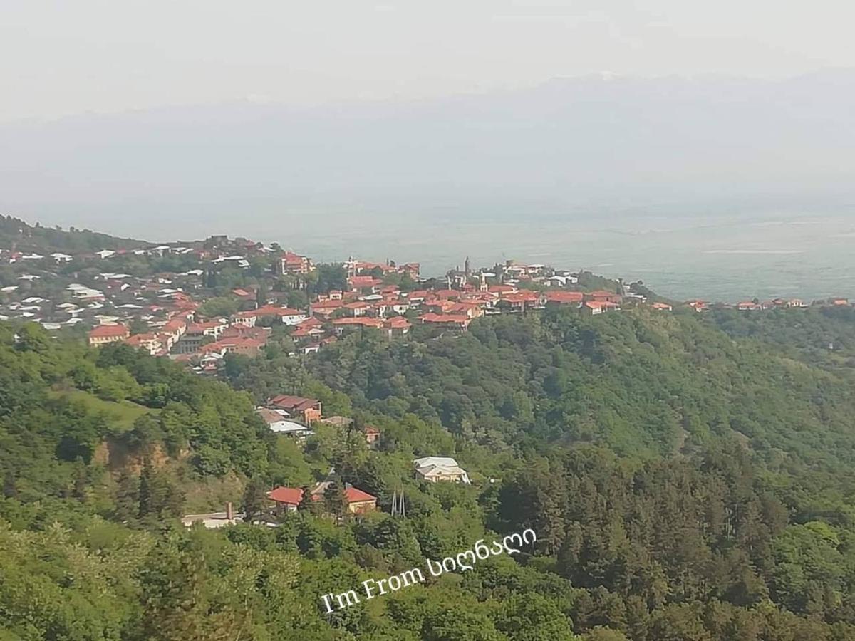 Tsitso & Soso Guesthouse Tsnoristskali Zewnętrze zdjęcie
